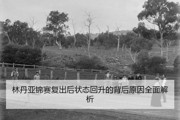 lin-dan-ya-jin-sai-fu-chu-hou-zhuang-tai-hui-sheng-de-bei-hou-yuan-yin-quan-mian-jie-xi-2-340.jpg